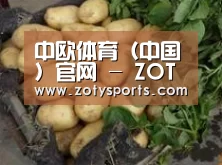 产品展示标题4