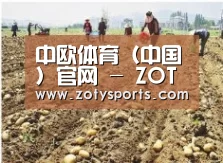 种植基地一