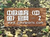种植基地八(图1)