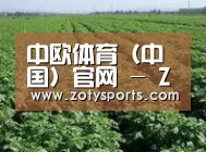 种植基地五(图1)