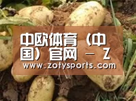 产品展示标题2