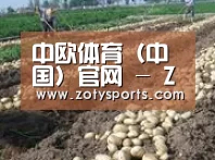 种植基地八