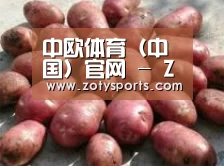 产品展示标题5(图1)