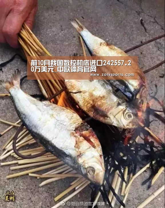 前10月我国数控机床进口242557.20万美元_中欧体育官网(图2) 中欧体育