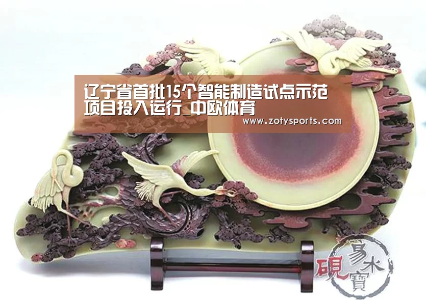 中欧体育app